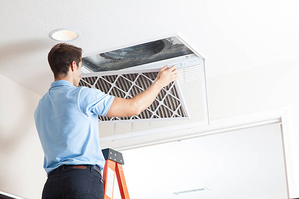 Best HVAC tune-up services  in Lake Los Angeles, CA